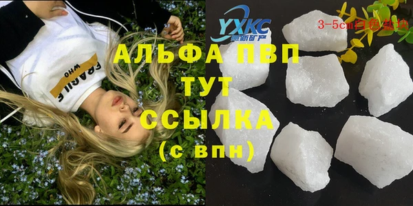 хмурый Алзамай