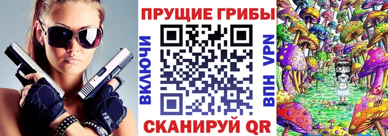 Псилоцибиновые грибы ЛСД  где купить наркотик  мега онион  Сельцо 